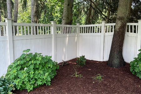 Fence Cleaning